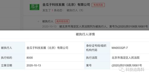 瓜子二手車成被執行人，8000元執行標的牽出技術開發糾紛